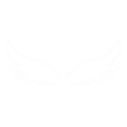 Simulación de vuelo interactivo